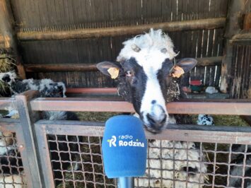 Wygraj bilety do Zoo!