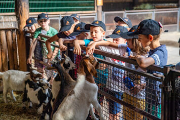Półkolonie w ZOO Wrocław￼