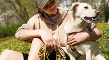 „Łapki przy sobie”. Dlaczego nie zawsze i nie każdego psa można pogłaskać?