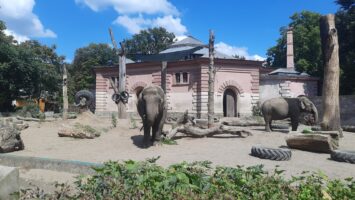 Światowy Dzień Słonia