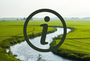 Informacja od DPWIS o działaniach na Odrze