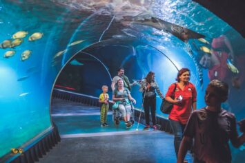 Wrocławskie zoo podsumowuje rok 2022