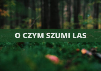 O czym szumi las: O początku wiosny w lasach