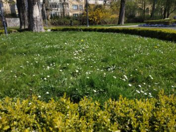 Wrocław: ruszyło #EKOszenie