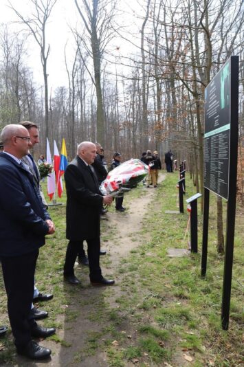 Dęby Pamięci w Trzebnicy