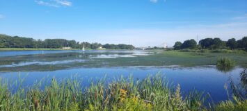 Jest susza, a grozi nam powódź?