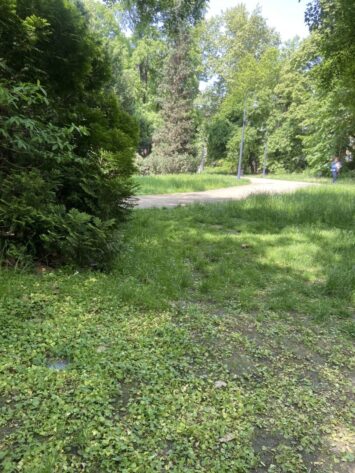 Porady na wypoczynek… z Panem Bogiem :)