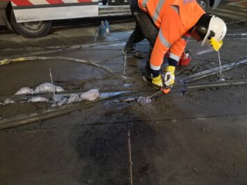 Wakacyjna #TORYwolucja trwa w najlepsze!