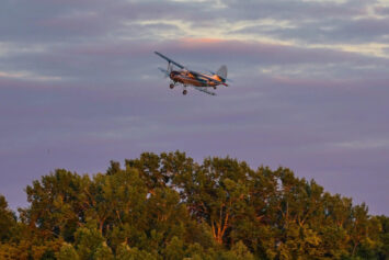 Wraca kampania „Komar nie siada”