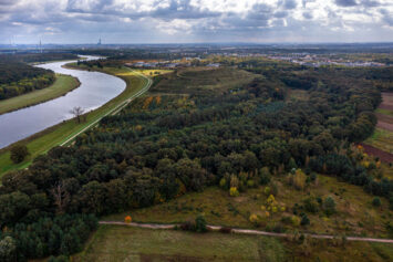 Las Pracki nowym użytkiem ekologicznym we Wrocławiu?