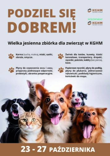Podzielą się dobrem – KGHM prowadzi dwie akcje wolontariackie w Zagłębiu Miedziowym