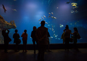 Nie tylko chronimy i edukujemy – zoo to miejsce badań naukowych