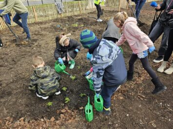 Pierwszy las kieszonkowy we Wrocławiu posadzony