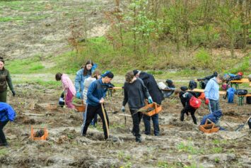 PGE posadziła blisko 70 tys. drzew w tegorocznej wiosennej odsłonie programu „Lasy Pełne Energii”