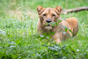 Po 16:00 Dzieje się we Wrocławiu
