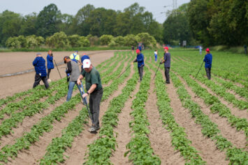 Miejska Farma – pierwszy taki projekt w Polsce