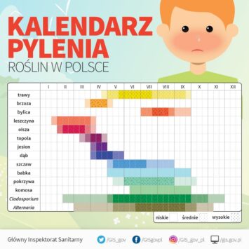 Walka z Alergią: Jak Przetrwać Wiosnę?