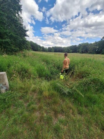 Co Wrocław robi z plagą komarów?