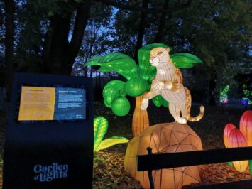 ZOObacz dziką Azję we Wrocławiu