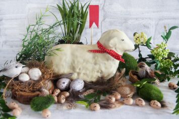 Cztery wymiary baranka