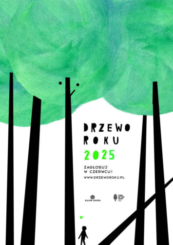 Rusza głosowanie na Drzewo Roku 2025