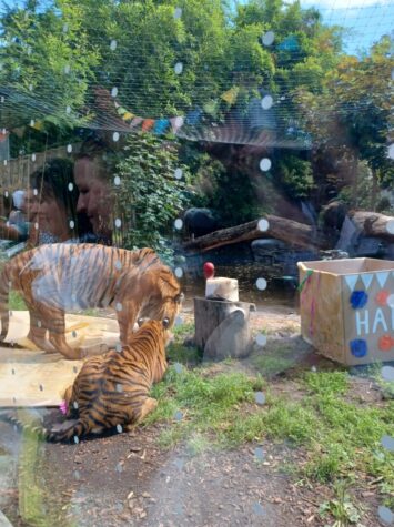 Hari, Kampar, Indera i Musi skończyły rok!