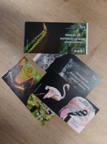 Po 9:00 zdobądź wejściówki do ZOO Wrocław!