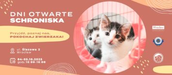 Przyjdź, pokochaj i adoptuj. Dni otwarte w Schronisku dla Bezdomnych Zwierząt