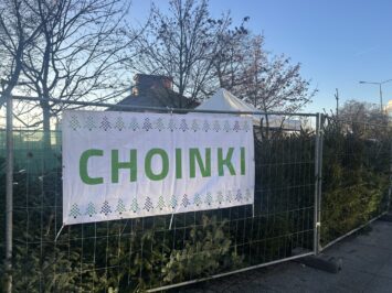 Jaką wybrać choinkę i jak o nią zadbać?