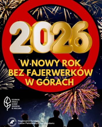 Zakaz ognia w rezerwatach na Ślęży i Raduni. Leśnicy apelują przed Sylwestrem