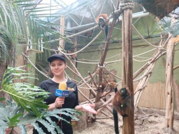 Czy w zoo czuć już wiosnę?