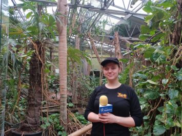 Co robią wiewiórki w ZOO?