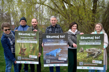 Skumaj to! Wrocław startuje z kampanią ochrony płazów 