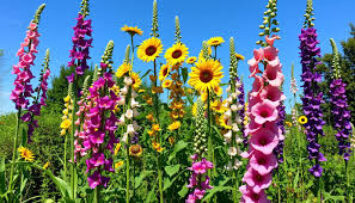 9:30 Dzień Florysty