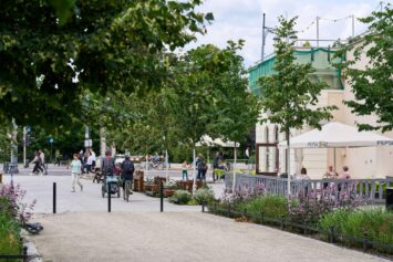 Wrocław rozwija zielone trasy rowerowe