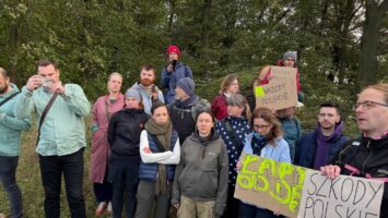 Ponad 600 drzew zagrożonych wycinką. Protest w sprawie modernizacji wału we Wrocławiu